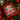 Funny Merry Christmas 2025 With Pets Acrylic Ornament