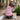 #color_pink