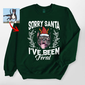 Sorry Santa I've been Feral, Funny Christmas Gildan Sweatshirt For Dog Owners