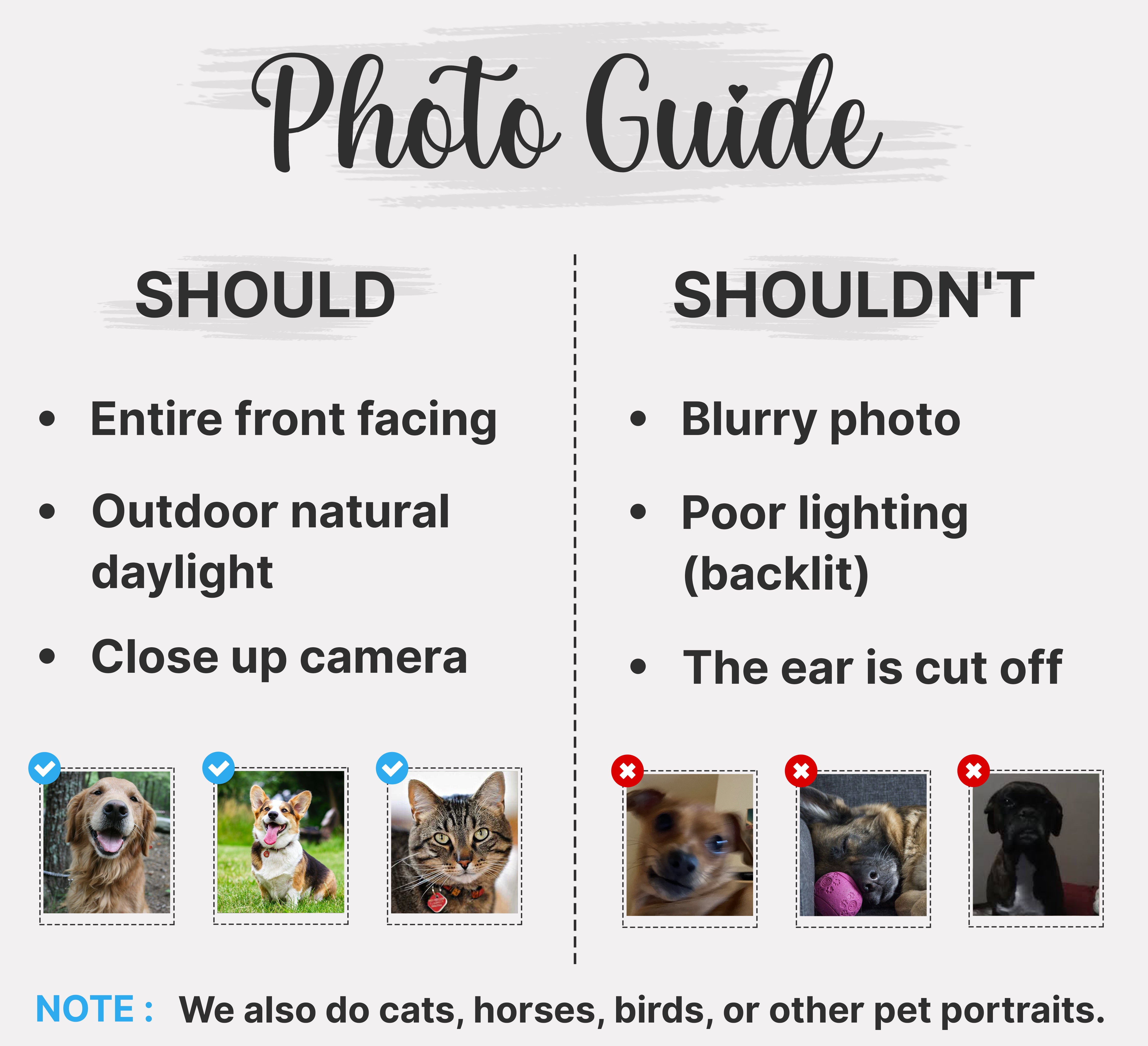 Unleashing Your Pet