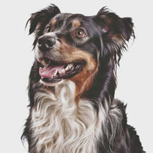 Load and play video in Gallery viewer, Pawarts | Unique Custom Dog Canvas [Great Gift for Dog Lovers]
