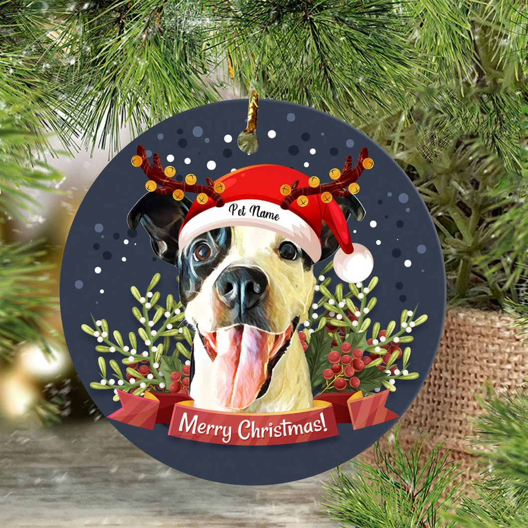 Pawarts | Cute Christmas Pet Portrait Ornament